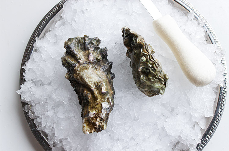 Dabob Bay Oyster — Oysterology Online Pangea Shellfish Company